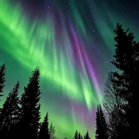 Luxury Lapland Aihki Retreat By Hilla Casa vacanze